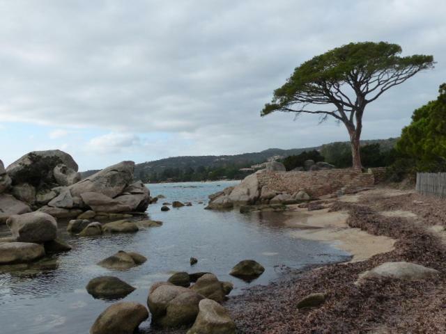 Luna Verde Porto-Vecchio  Eksteriør billede