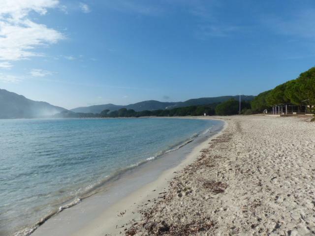 Luna Verde Porto-Vecchio  Eksteriør billede