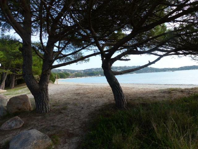 Luna Verde Porto-Vecchio  Eksteriør billede